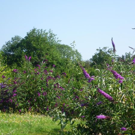 ปอมเนียล เดอ ลา เอริสซอนนิแยร์ Bed & Breakfast Saint-Aubin-de-Bonneval ภายนอก รูปภาพ